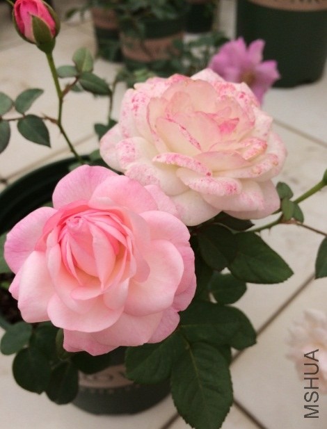QQ��ͼ20131206131911.jpg