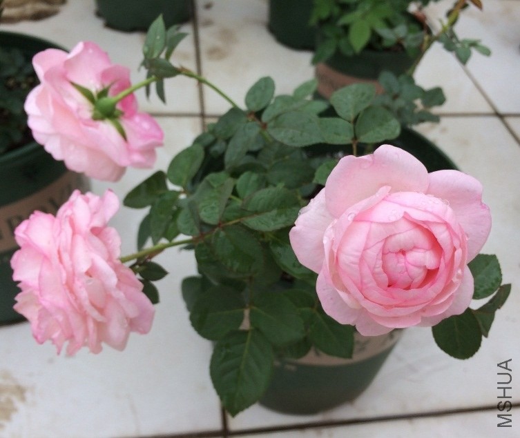 QQ��ͼ20131206132136.jpg