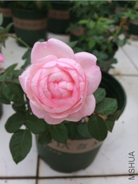 QQ��ͼ20131206132201.jpg