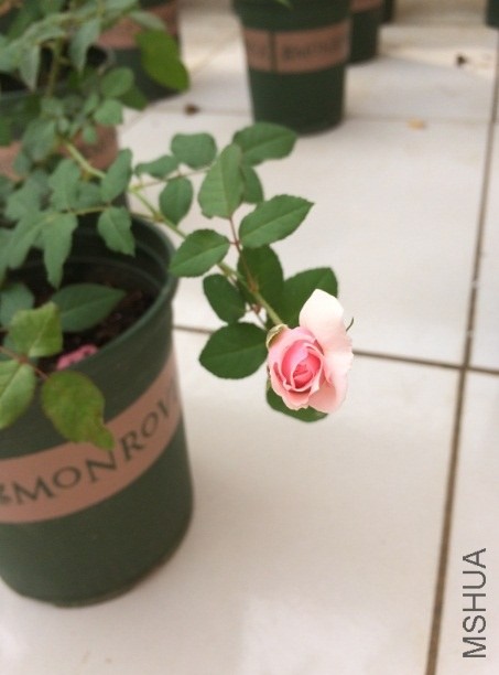 QQ��ͼ20131206130438.jpg