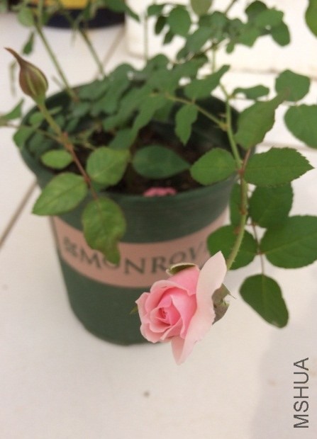 QQ��ͼ20131206130453.jpg