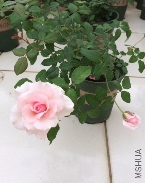 QQ��ͼ20131206130822.jpg