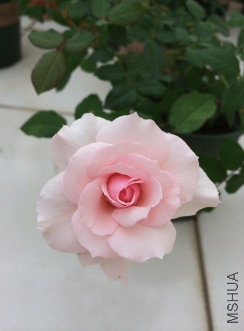 QQ��ͼ20131206130935.jpg