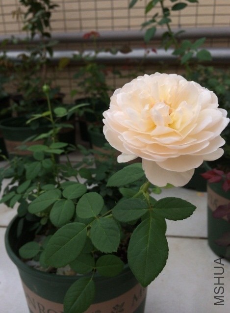 QQ��ͼ20131206130603.jpg