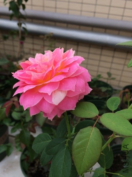 QQ��ͼ20131206130634.jpg