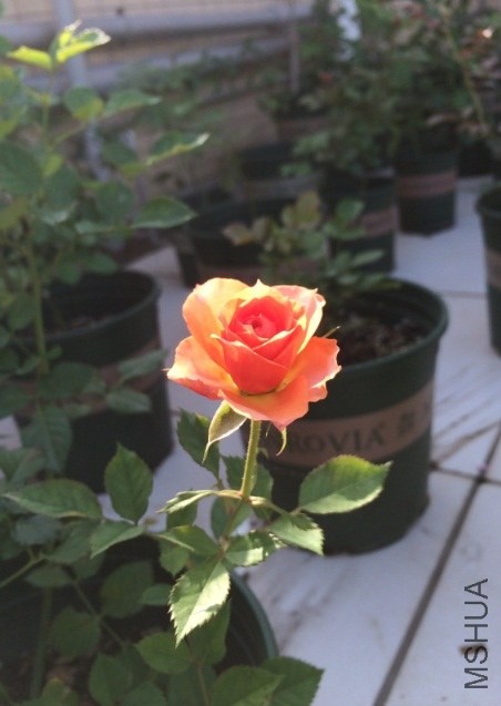 QQ��ͼ20131206135136.jpg