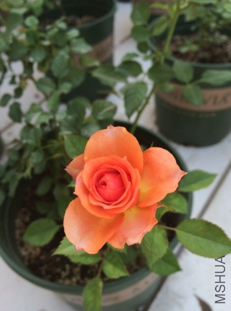 QQ��ͼ20131206135149.jpg