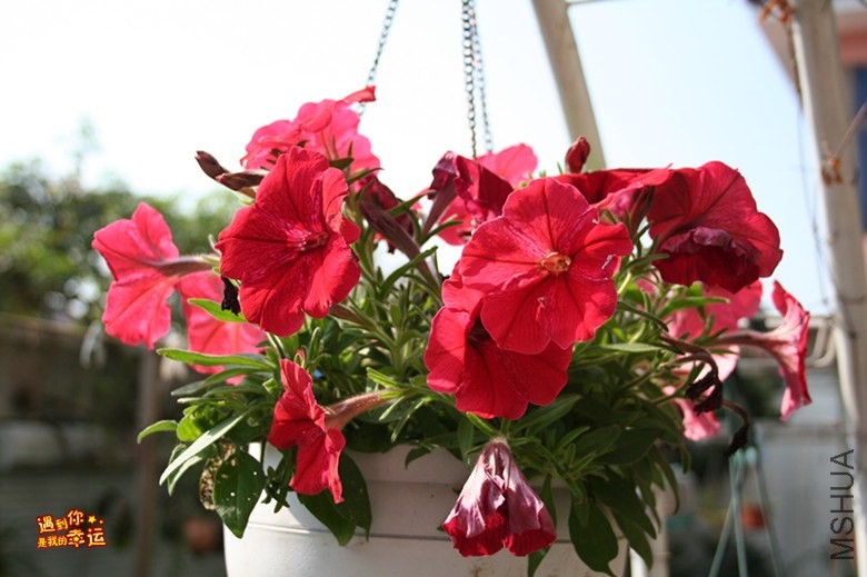 ��Ƭ 123_����.jpg