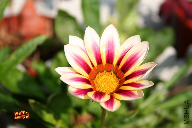 ��Ƭ 113_����.jpg