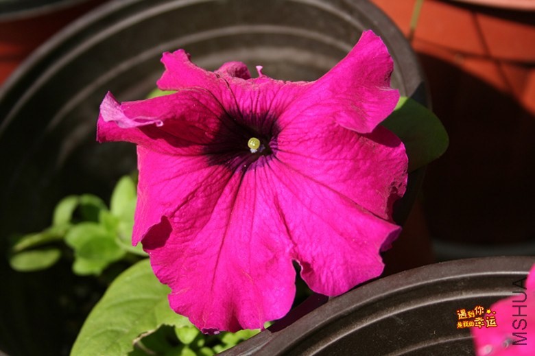 ��Ƭ 040_����.jpg