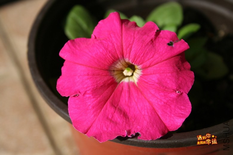 ��Ƭ 041_����.jpg