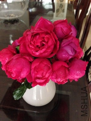 IMG_2163.JPG