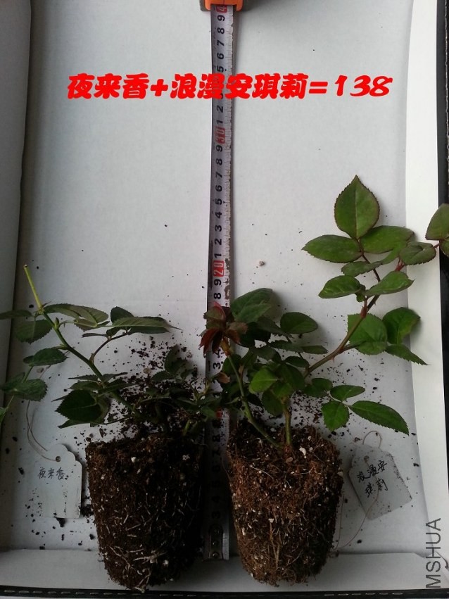20131207_160420.jpg