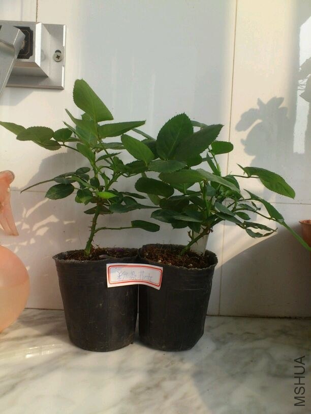 QQͼƬ20131207211759.jpg