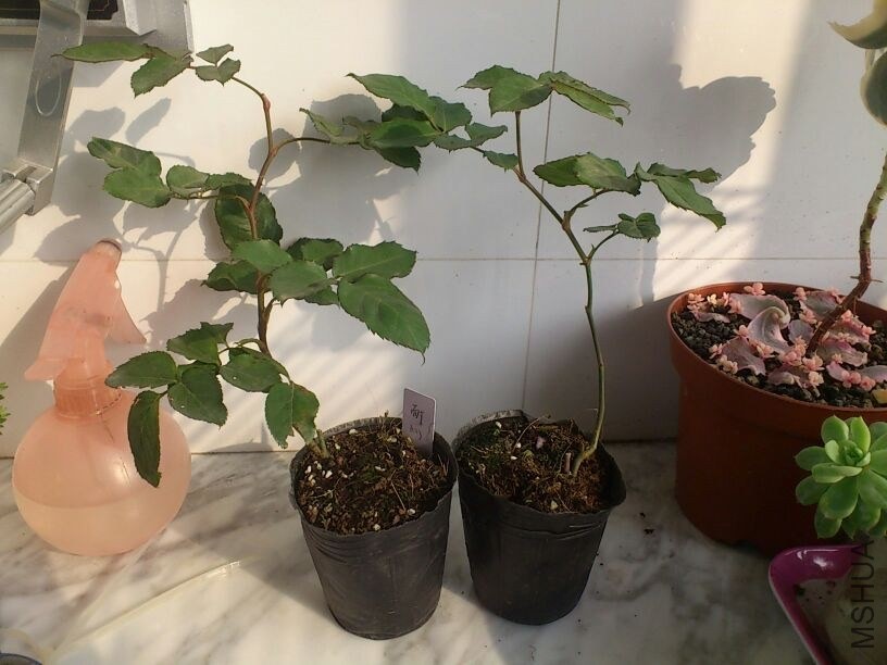 QQͼƬ20131207211811.jpg
