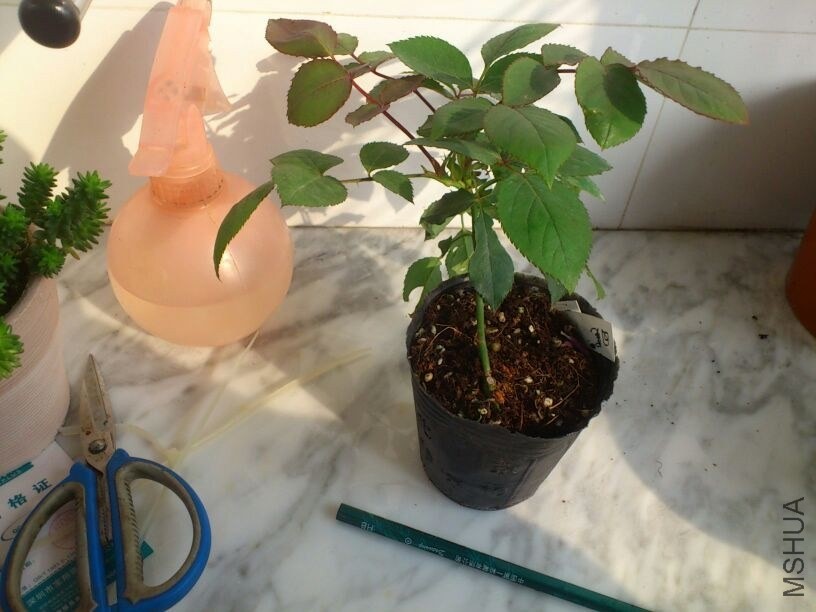 QQͼƬ20131207211829.jpg