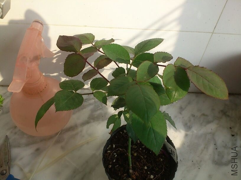 QQͼƬ20131207211836.jpg