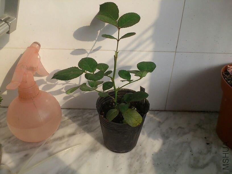 QQͼƬ20131207211843.jpg
