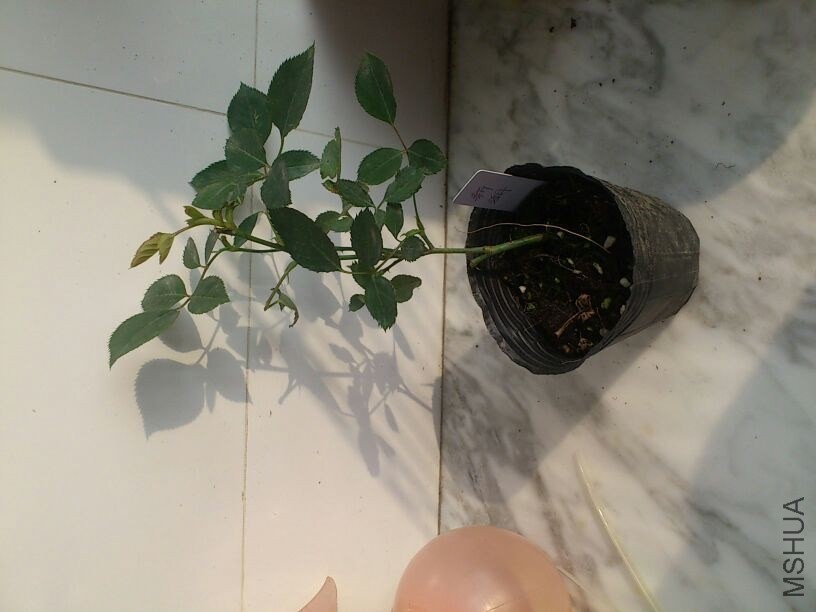 QQͼƬ20131207211856.jpg