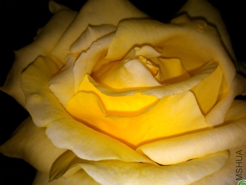 QQͼƬ20131207213046.jpg