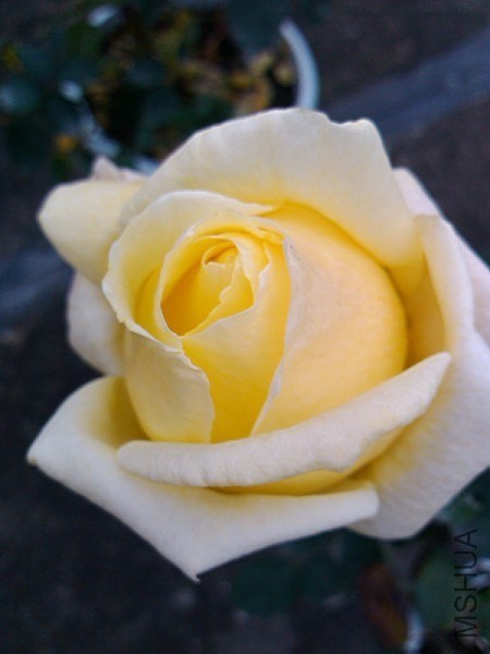 QQͼƬ20131207213102.jpg