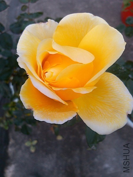 QQͼƬ20131207213052.jpg