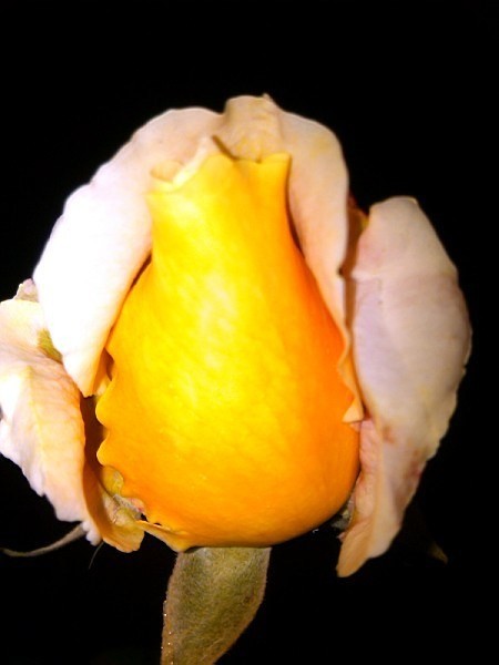 QQͼƬ20131207213042.jpg