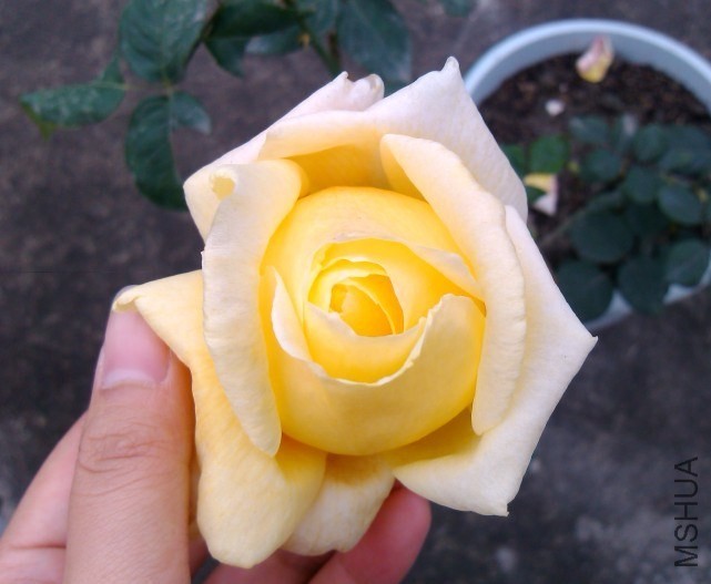 QQͼƬ20131207213718.jpg