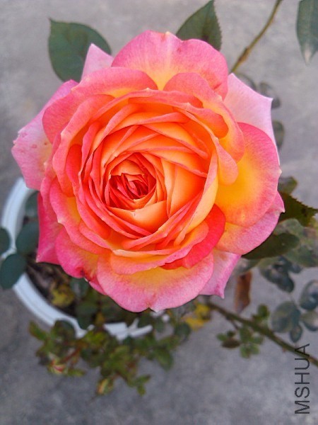 QQͼƬ20131207213021.jpg