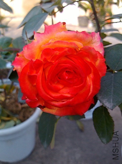 QQͼƬ20131207213003.jpg