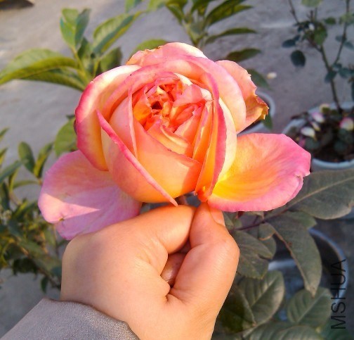 QQͼƬ20131207213108.jpg