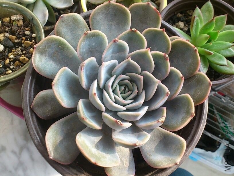 QQͼƬ20131207214717.jpg