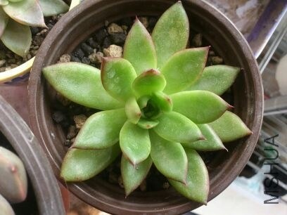 QQͼƬ20131207214712.jpg