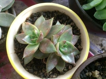QQͼƬ20131207214708.jpg