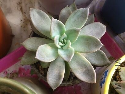 QQͼƬ20131207214704.jpg