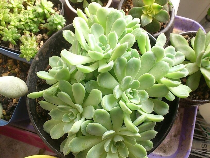 QQͼƬ20131207214653.jpg