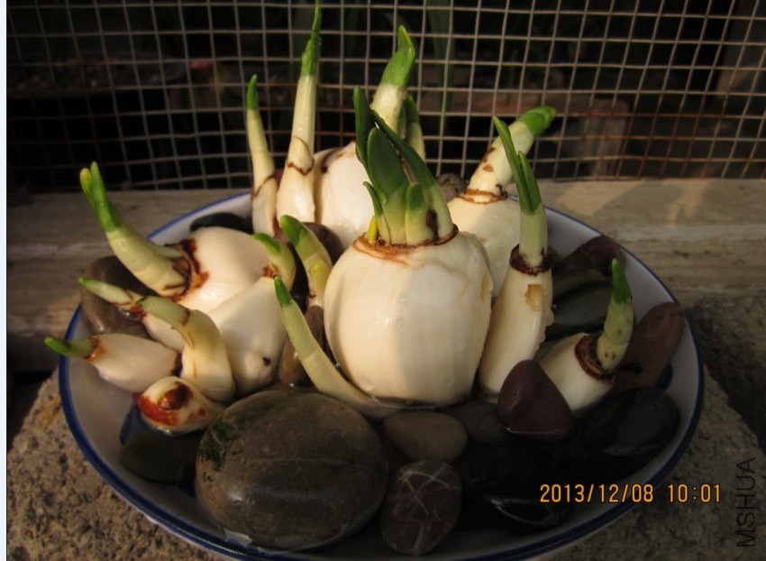 QQͼƬ20131208100448.jpg
