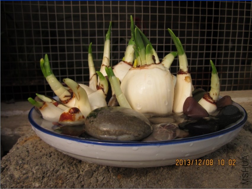 QQͼƬ20131208100453.jpg