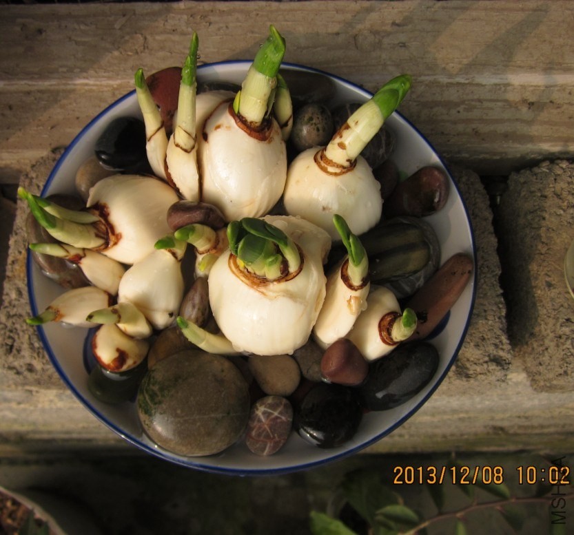 QQͼƬ20131208100457.jpg