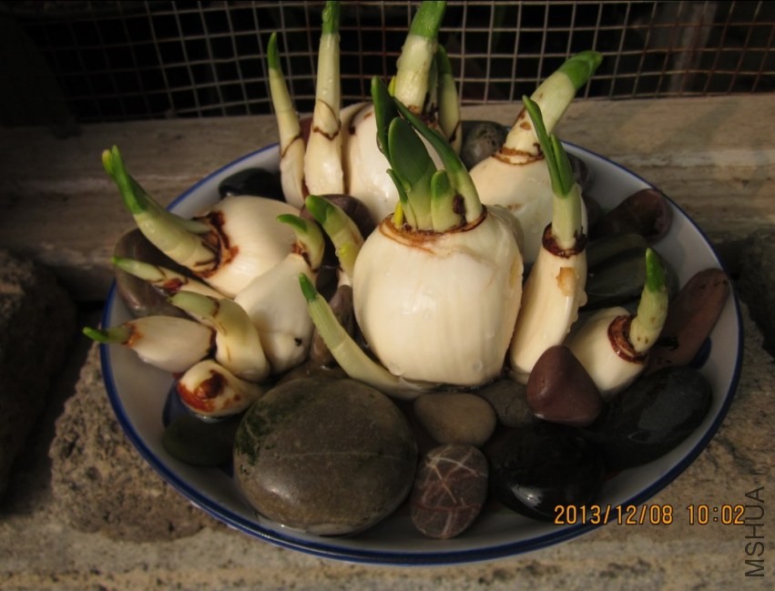QQͼƬ20131208100502.jpg