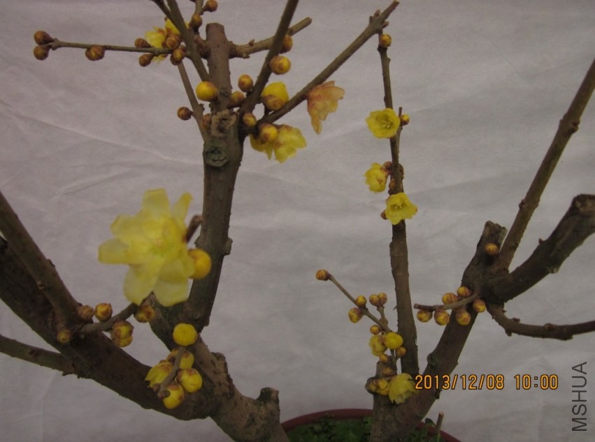 QQͼƬ20131208100517.jpg
