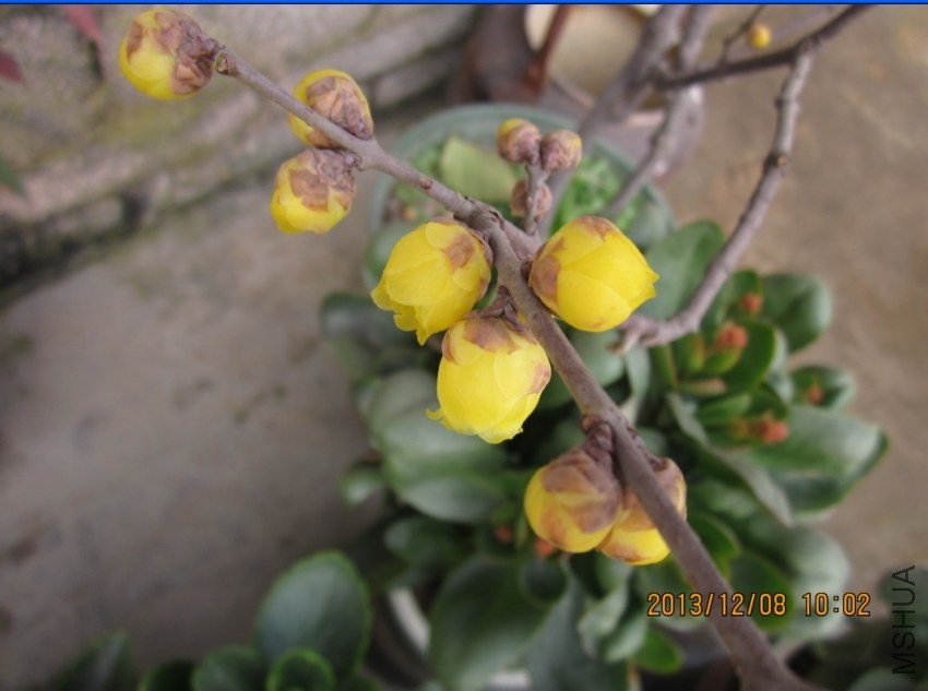 QQͼƬ20131208100523.jpg