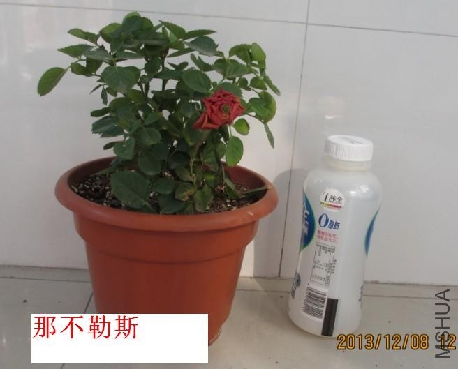 QQͼƬ20131208124546.jpg