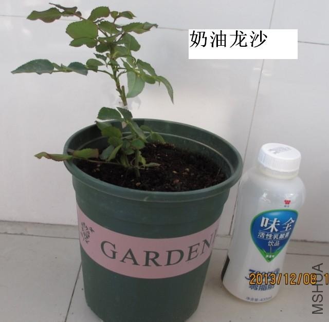 QQͼƬ20131208124554.jpg