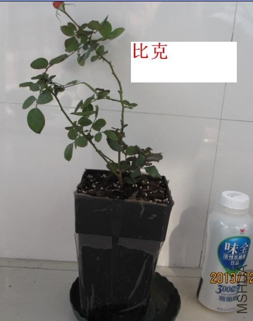 QQͼƬ20131208124550.jpg