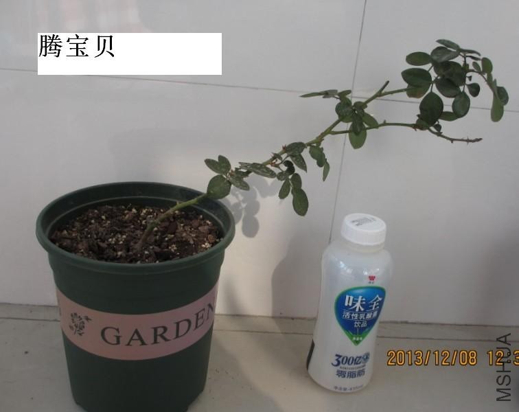 QQͼƬ20131208124617.jpg