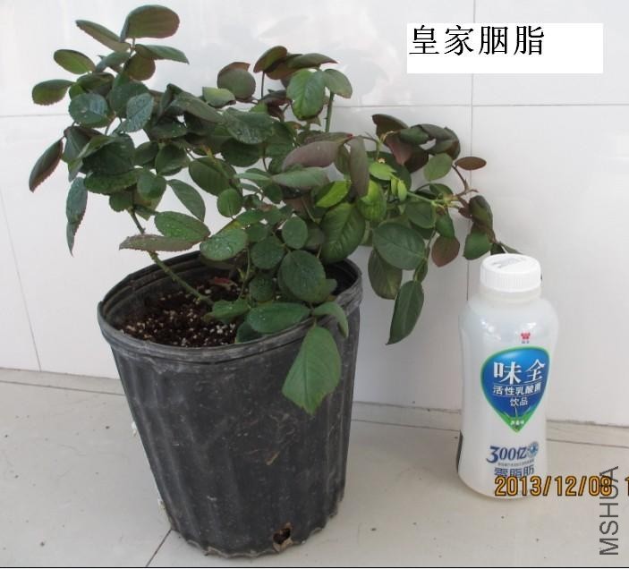 QQͼƬ20131208124602.jpg