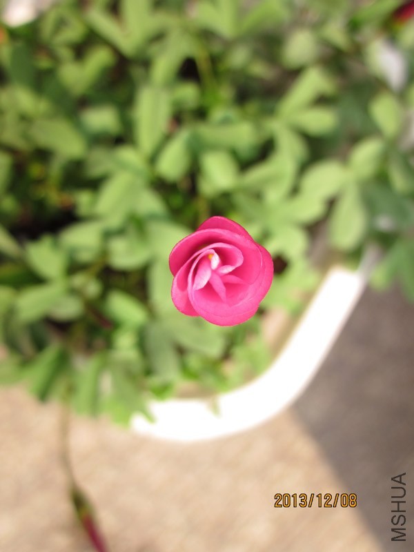 bbsIMG_2863.jpg