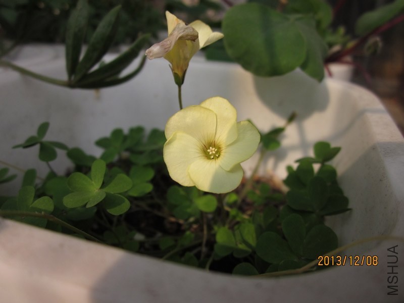 bbsIMG_2867.jpg