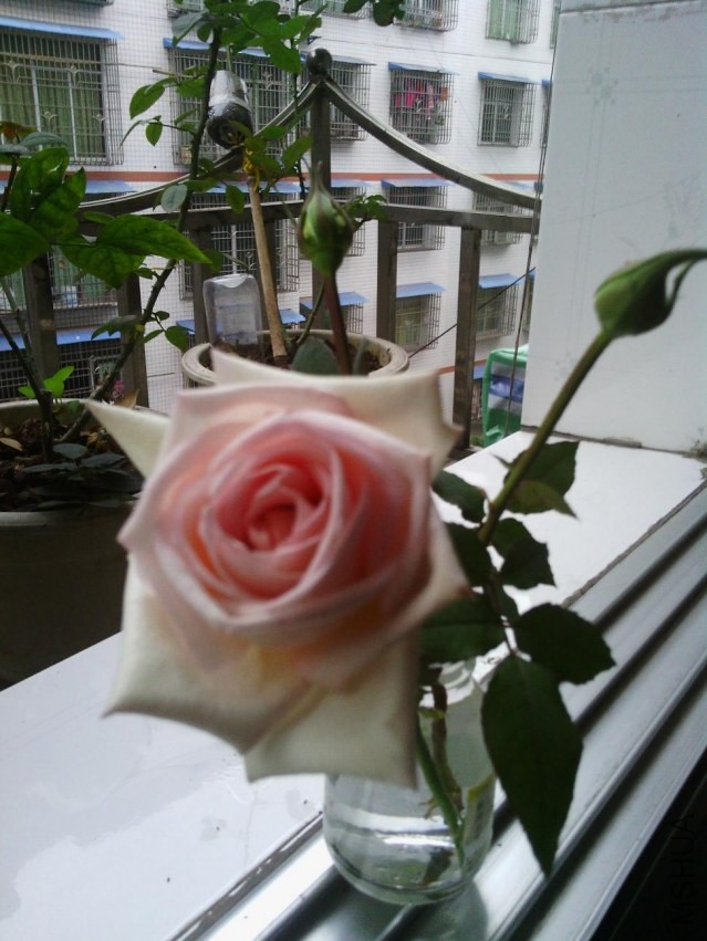 Camera_20131207_173013(1).jpg
